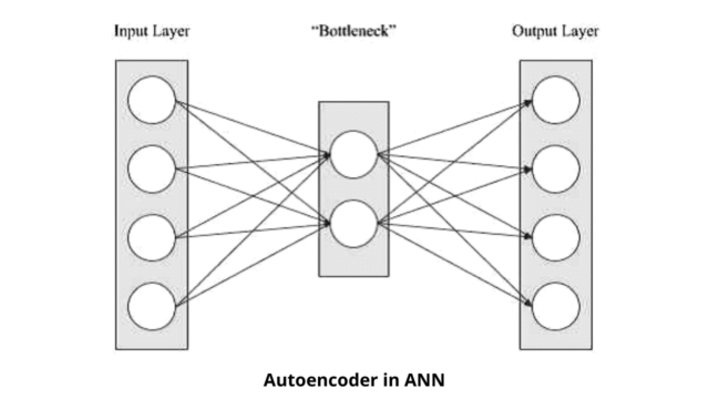 Autoencoders: Introduction to Neural Networks - AnalyticsLearn
